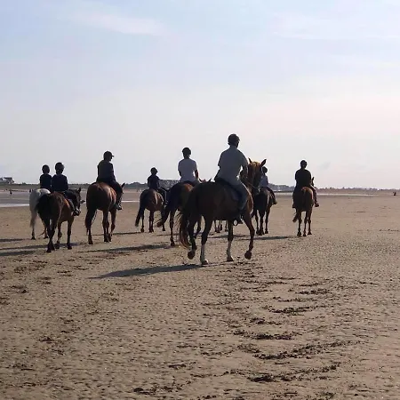 Apartamento De Charme A 250m De La Houlgate